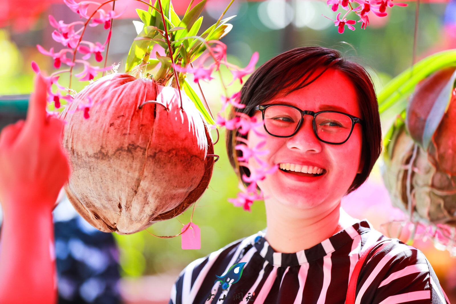 三亞迎春蘭花展在臨春嶺公園舉行，吸引市民游客前來參觀留念
