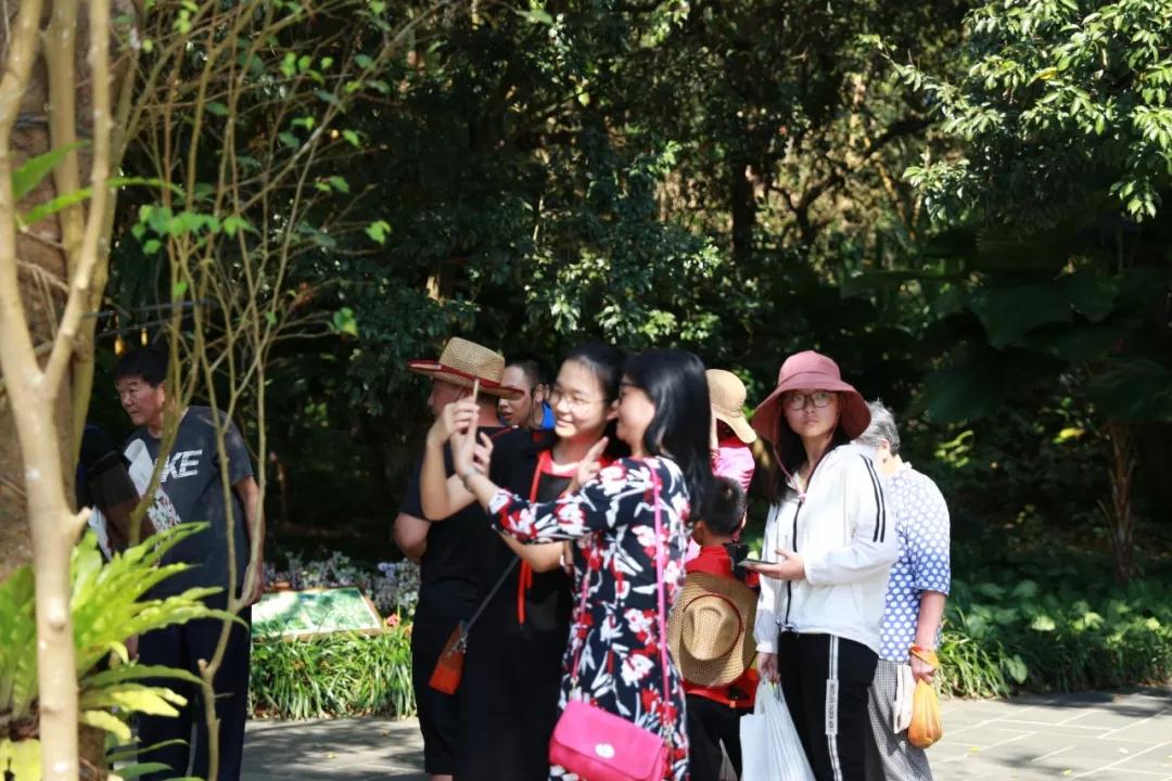 微信圖片_20190212101045