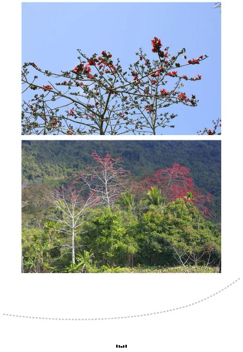 微信截圖_20190221112909 微信截圖_20190221112909