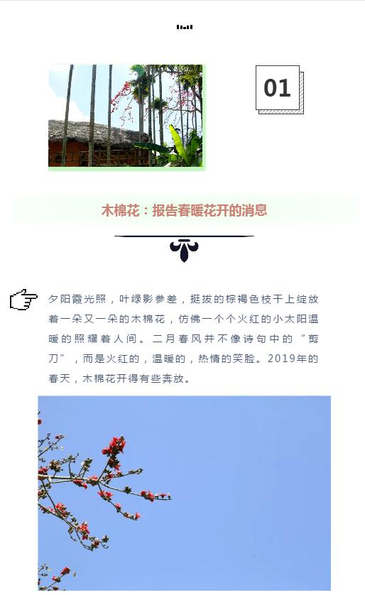 微信截圖_20190221112659 微信截圖_20190221112659