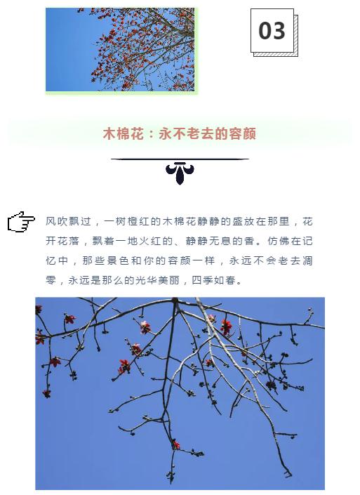 微信截圖_20190221112838 微信截圖_20190221112838