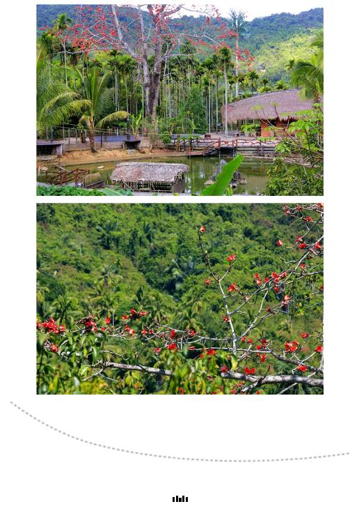 微信截圖_20190221112953 微信截圖_20190221112953