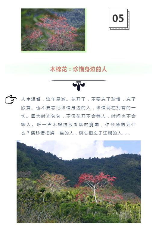 微信截圖_20190221113016 微信截圖_20190221113016