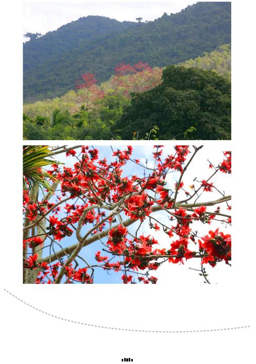 微信截圖_20190221112812 微信截圖_20190221112812