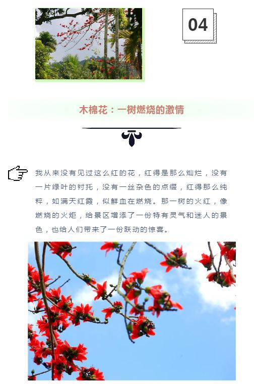 微信截圖_20190221112930 微信截圖_20190221112930