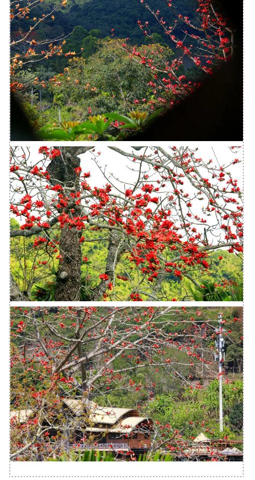 微信截圖_20190221112624 微信截圖_20190221112624