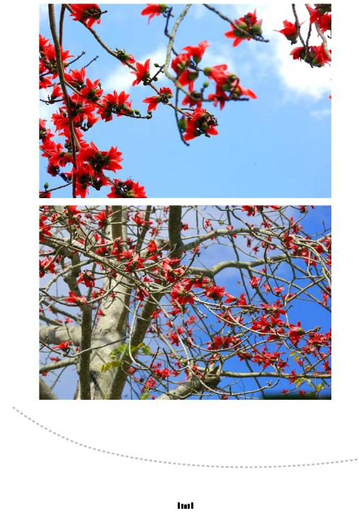 微信截圖_20190221112723 微信截圖_20190221112723