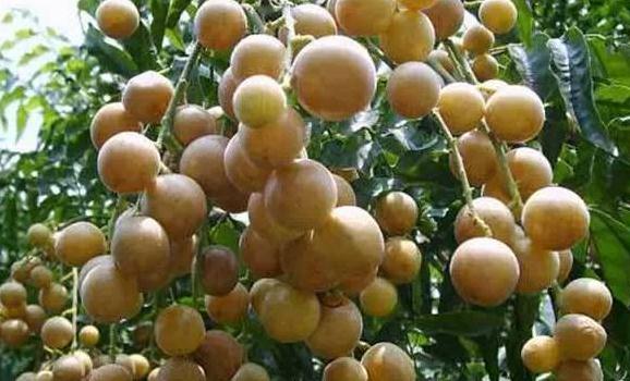 微信截圖_20190226112502 微信截圖_20190226112502