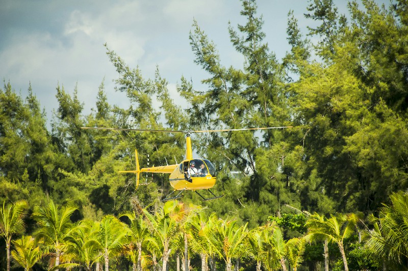 微信圖片_20190227173350 微信圖片_20190227173350