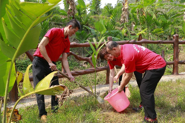 4、檳榔谷開展植樹活動(dòng) 4、檳榔谷開展植樹活動(dòng)