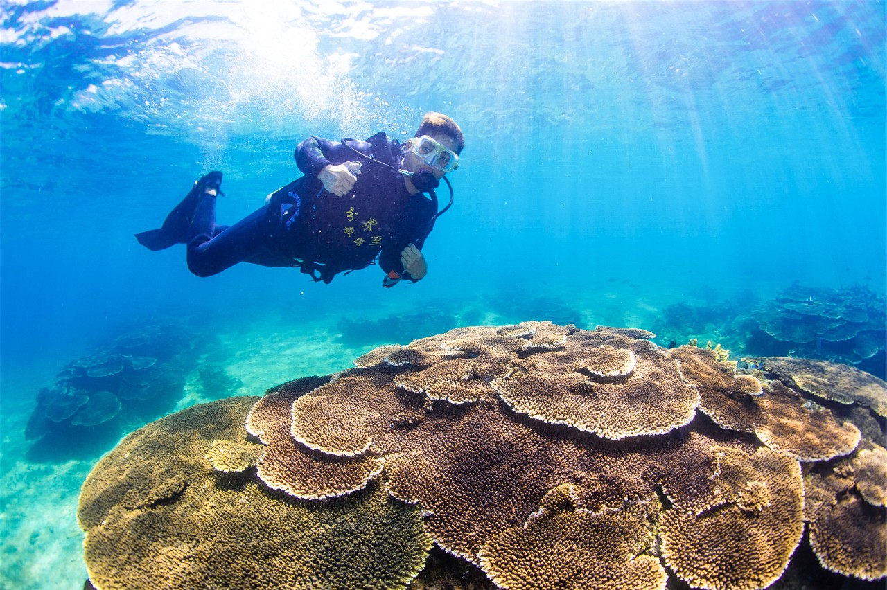 微信圖片_20190517145601 微信圖片_20190517145601