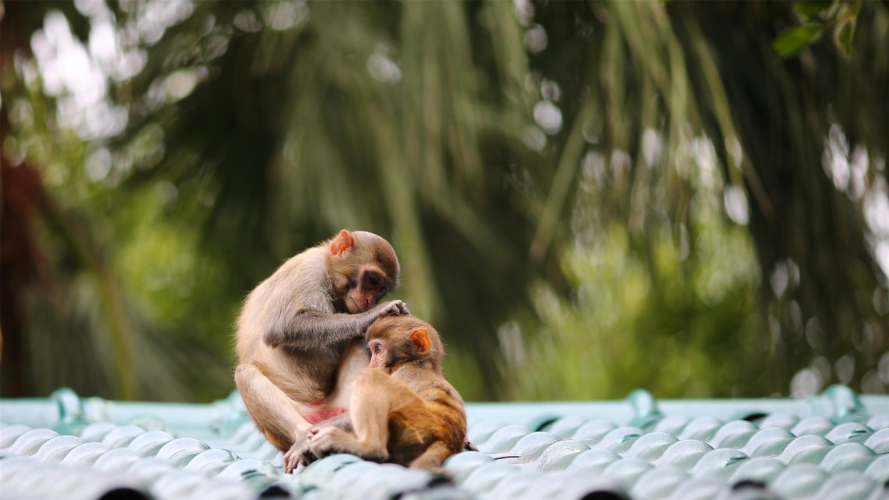 微信圖片_20190517145624 微信圖片_20190517145624