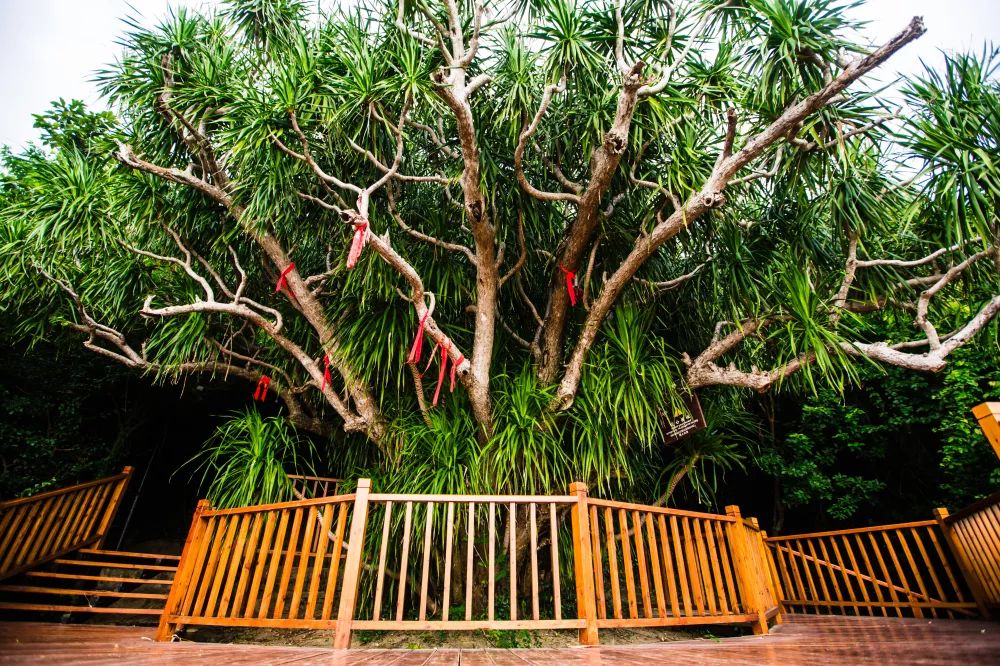 微信圖片_20190517084343 微信圖片_20190517084343