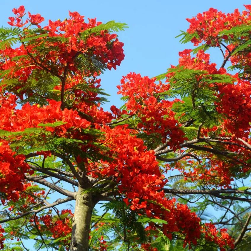 微信圖片_20190524192213 微信圖片_20190524192213