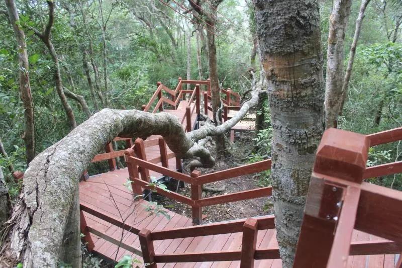 微信圖片_20190527194848 微信圖片_20190527194848