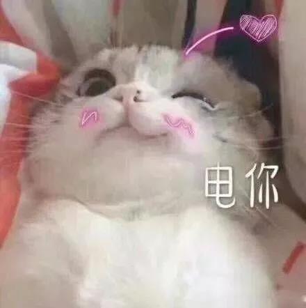 微信圖片_20190531090657