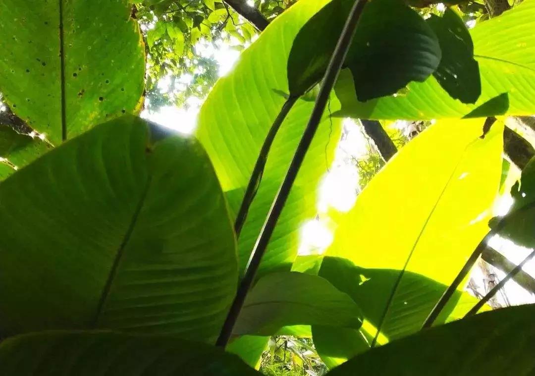 微信圖片_20190603095512