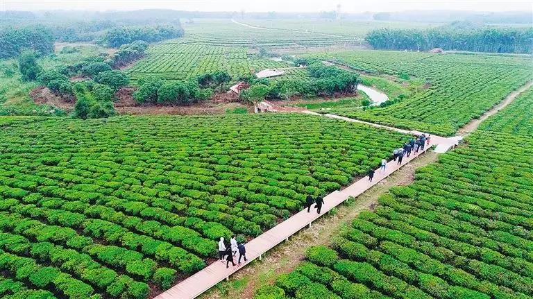 微信圖片_20190605151301