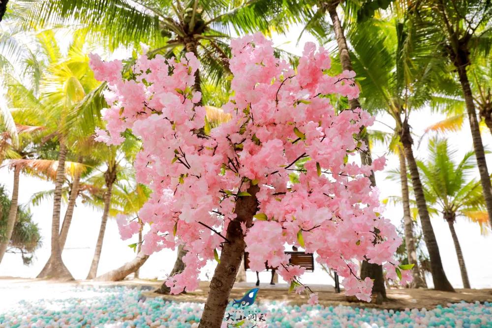 微信圖片_20190605085005 微信圖片_20190605085005