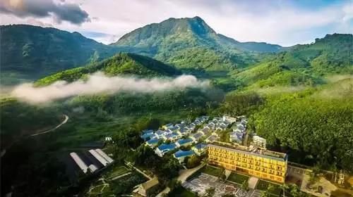 微信圖片_20190605150905 微信圖片_20190605150905