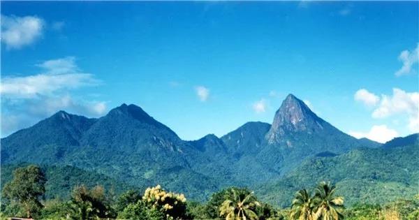 微信圖片_20190606113429