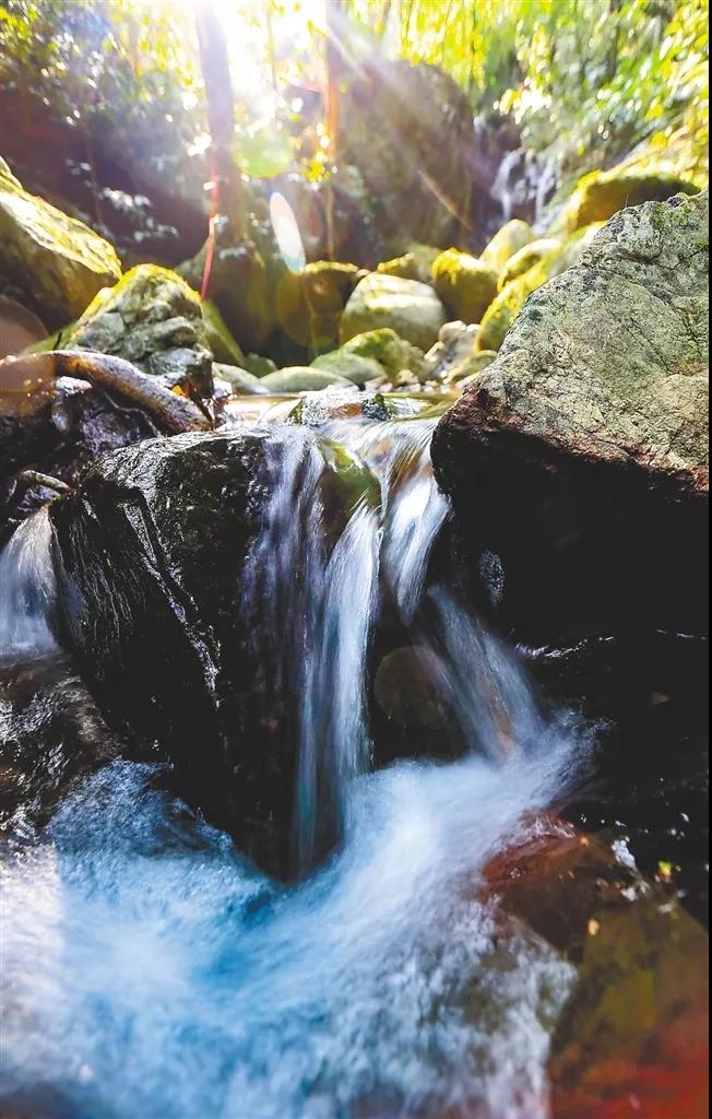 微信圖片_20190624180223