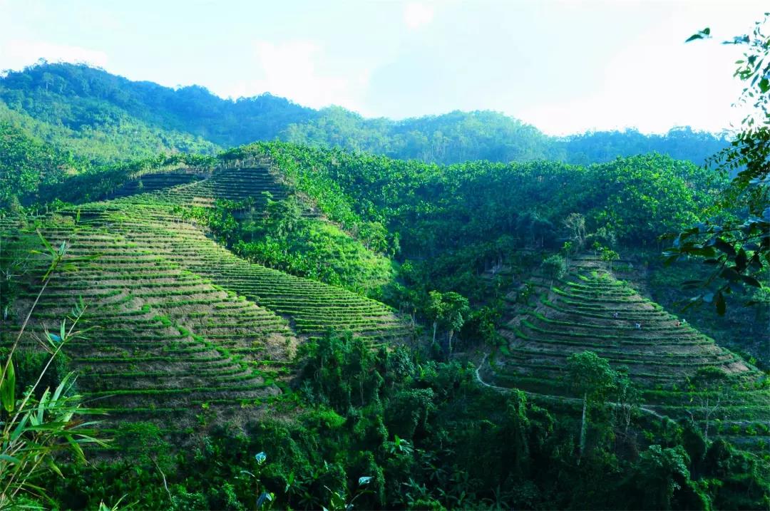 微信圖片_20190624180156