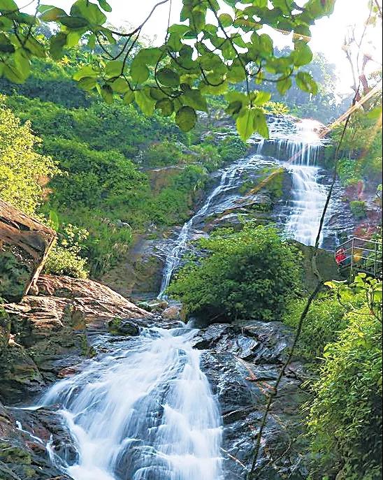 微信圖片_20190624180221