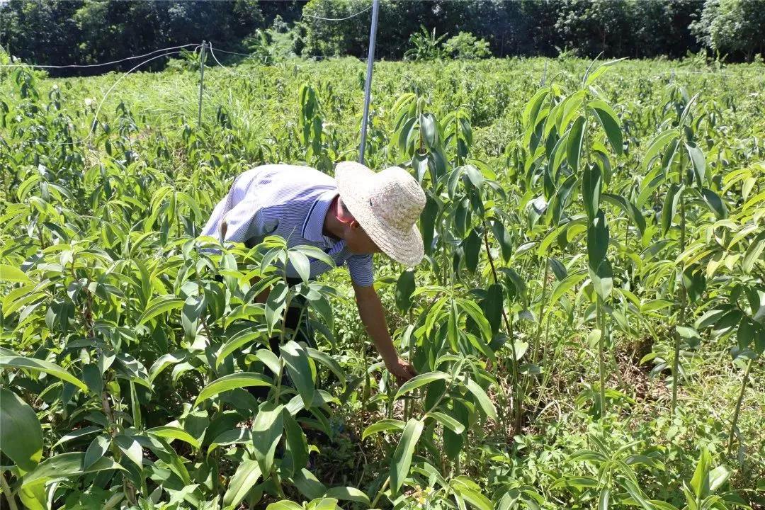 微信圖片_20190704163345 微信圖片_20190704163345