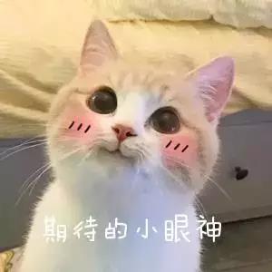 微信圖片_20190709102613