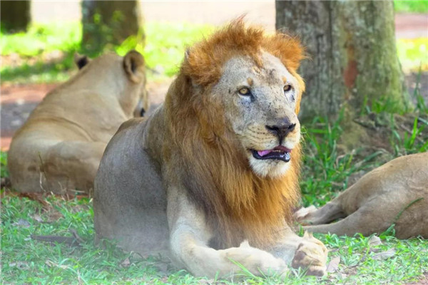 微信圖片_20190712095532 微信圖片_20190712095532