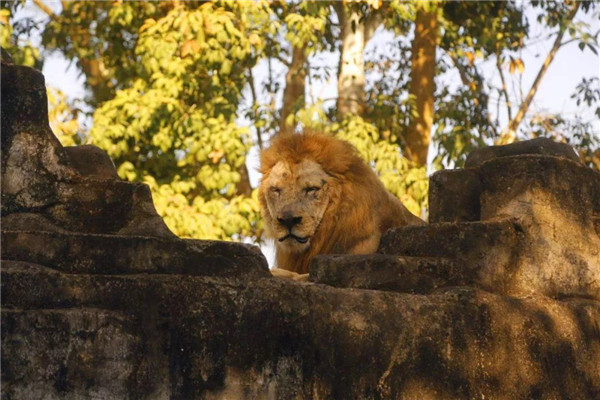 微信圖片_20190712095524 微信圖片_20190712095524