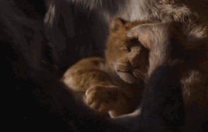 微信圖片_20190712095956 微信圖片_20190712095956