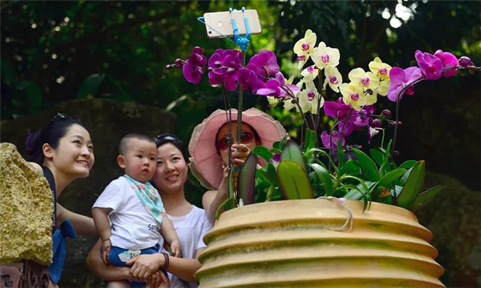 微信圖片_20190715165108 微信圖片_20190715165108