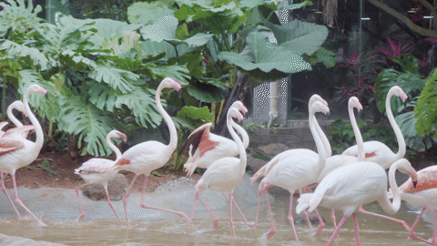 微信圖片_20190718153623 微信圖片_20190718153623