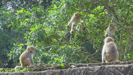 微信圖片_20190718153640 微信圖片_20190718153640