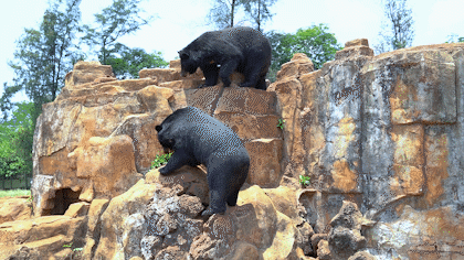 微信圖片_20190718153613 微信圖片_20190718153613