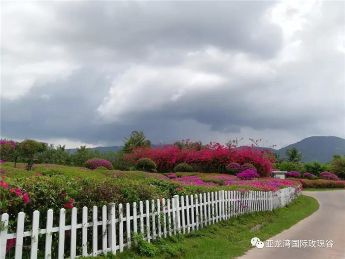 微信圖片_20190718164337 微信圖片_20190718164337