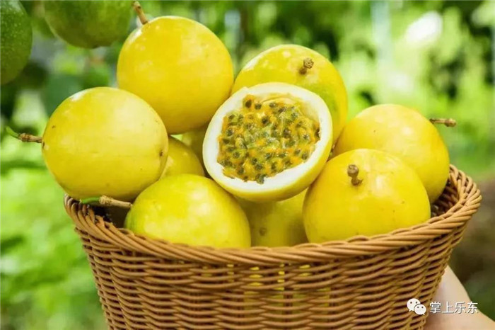 微信圖片_20190801085401 微信圖片_20190801085401