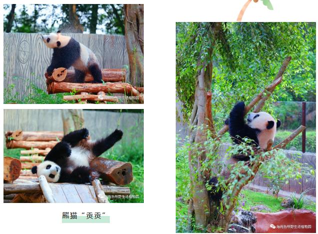 微信截圖_20190803160159 微信截圖_20190803160159