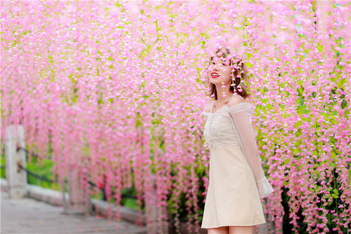 藤蘿花長(zhǎng)廊下打卡2 藤蘿花長(zhǎng)廊下打卡2