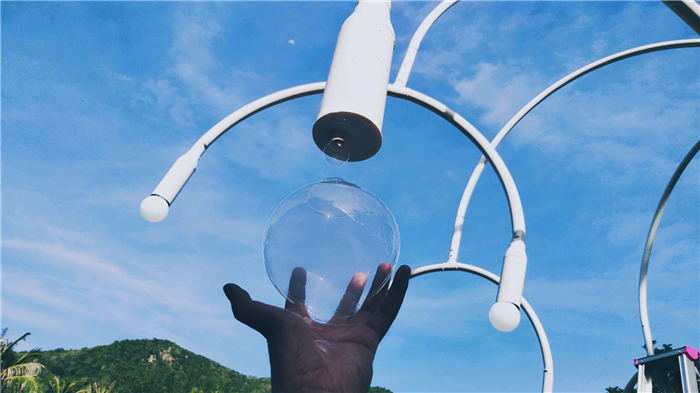 煙泡樹(shù) (2) 煙泡樹(shù) (2)