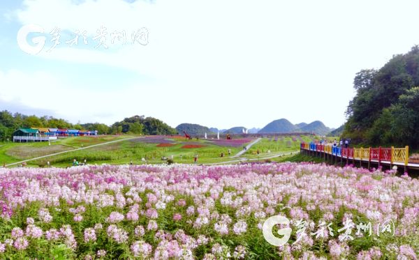 00303556541_42f7e2d6 00303556541_42f7e2d6