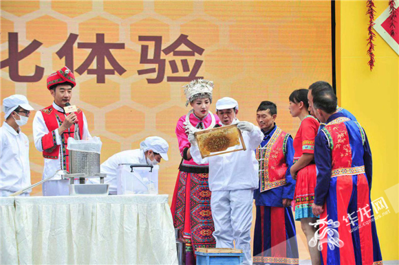 2ca33f99-eac0-472b-919c-3a2e3d64d213 2ca33f99-eac0-472b-919c-3a2e3d64d213