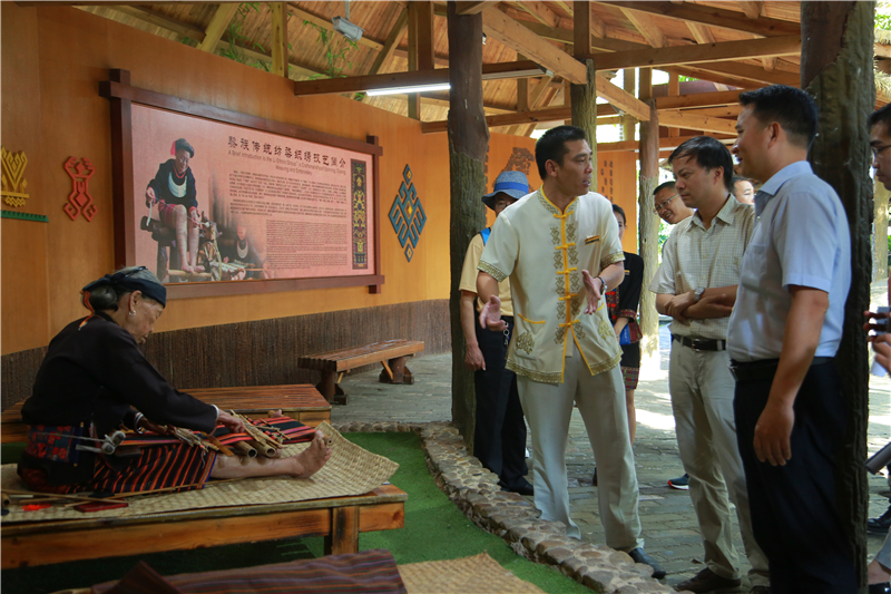 3、海南省商務(wù)廳黨組書記、廳長陳希一行到檳榔谷調(diào)研