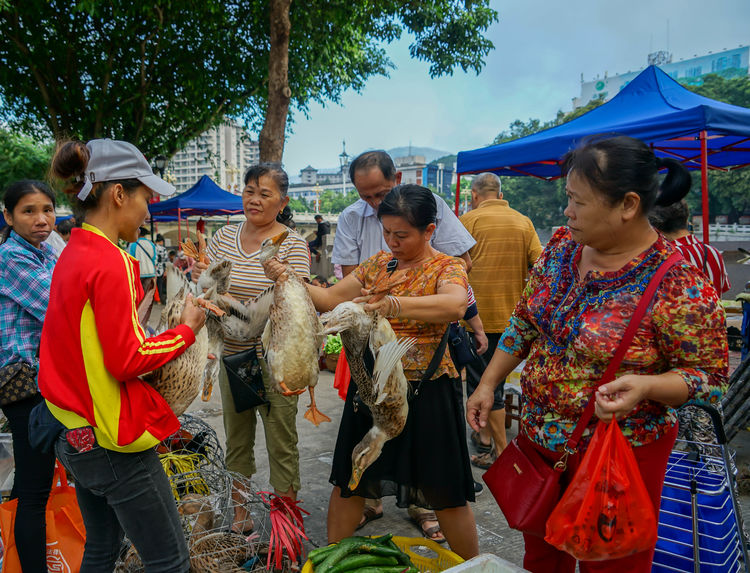 微信圖片_20191012155930 微信圖片_20191012155930