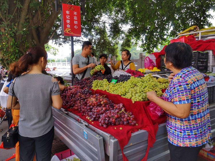 微信圖片_20191012155835 微信圖片_20191012155835