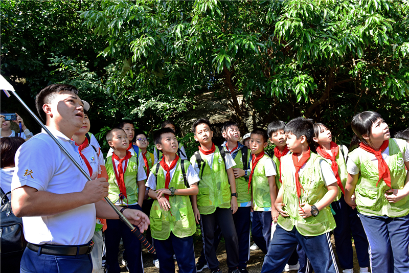 微信圖片_20191118185314