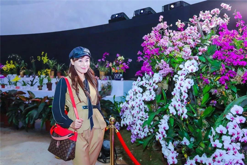 微信圖片_20200102150203 微信圖片_20200102150203