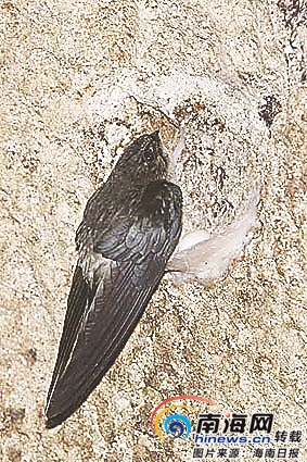 00320470923_779a4b52